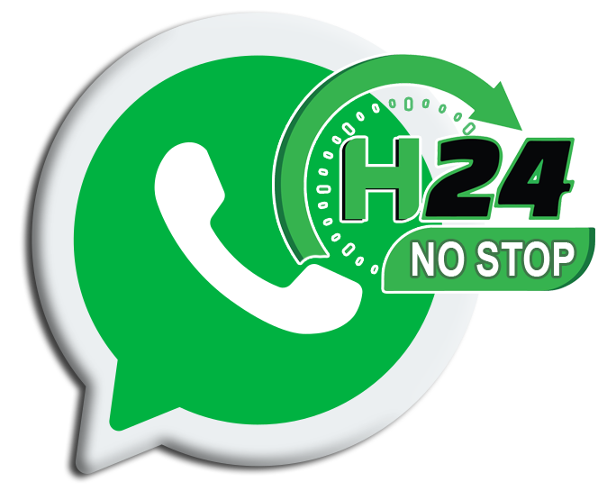 Whatsapp H24